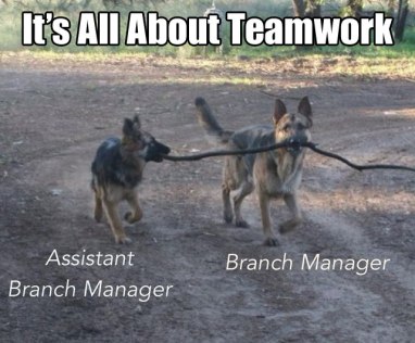 teamwork-dogs
